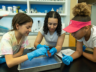 Students wokring on an experiment. Links to Closely Held Business Stock
